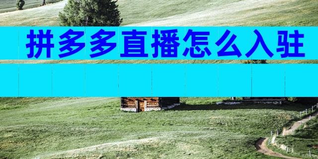 拼多多直播怎么入驻