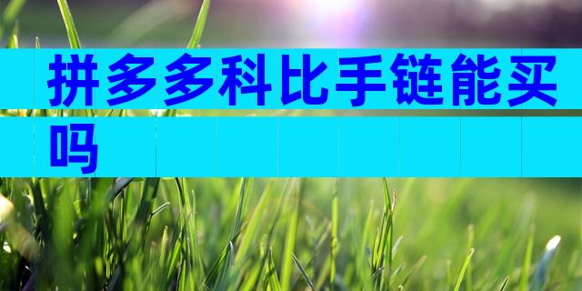 拼多多科比手链能买吗