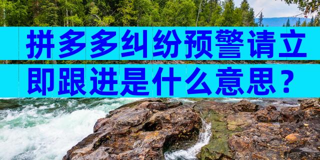 拼多多纠纷预警请立即跟进是什么意思？