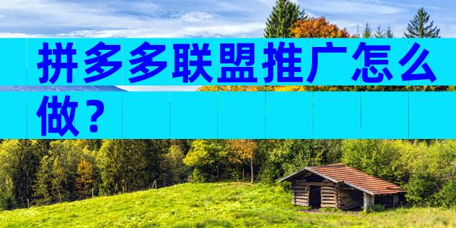 拼多多联盟推广怎么做？