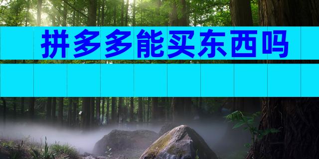 拼多多能买东西吗