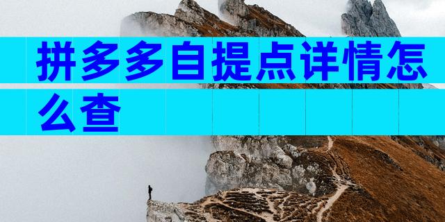 拼多多自提点详情怎么查