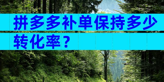拼多多补单保持多少转化率？