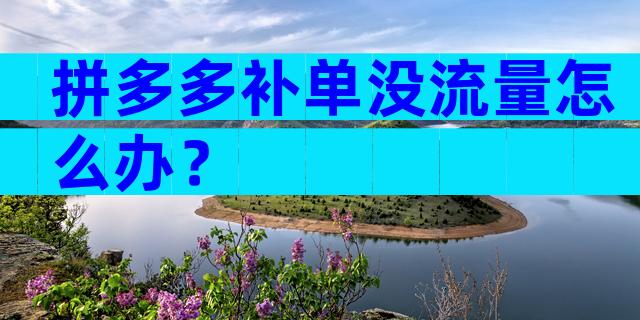 拼多多补单没流量怎么办？