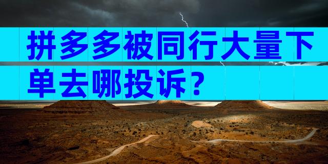 拼多多被同行大量下单去哪投诉？