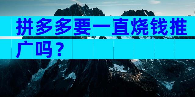 拼多多要一直烧钱推广吗？