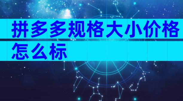 拼多多规格大小价格怎么标