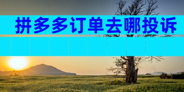 拼多多订单去哪投诉