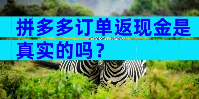 拼多多订单返现金是真实的吗？