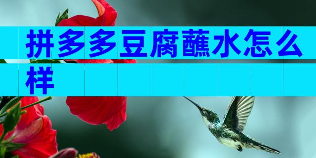 拼多多豆腐蘸水怎么样