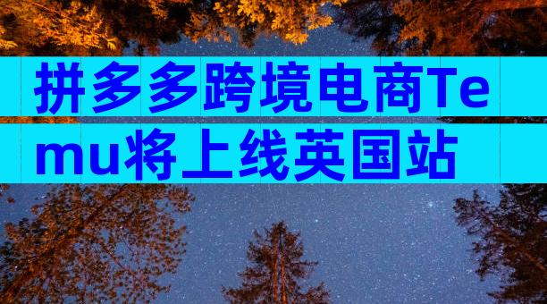 拼多多跨境电商Temu将上线英国站