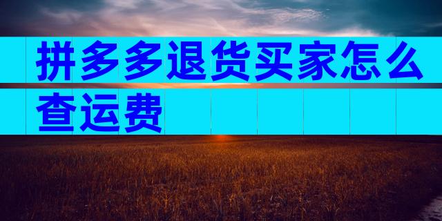 拼多多退货买家怎么查运费