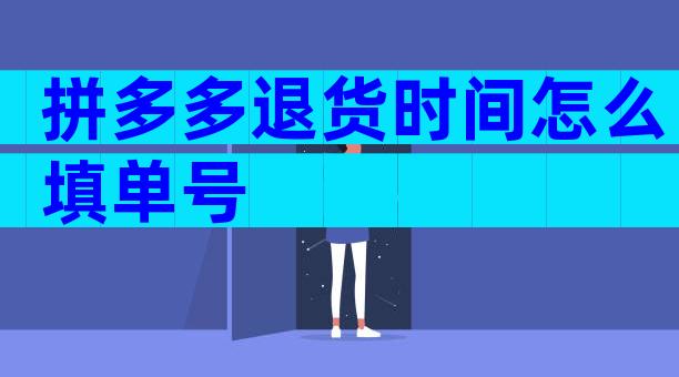 拼多多退货时间怎么填单号