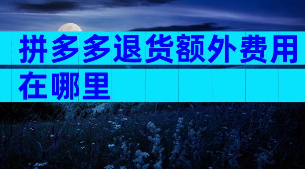 拼多多退货额外费用在哪里