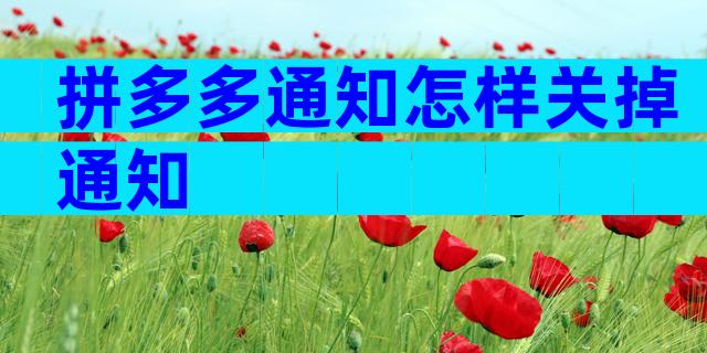 拼多多通知怎样关掉通知