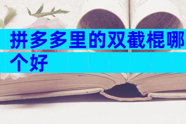 拼多多里的双截棍哪个好