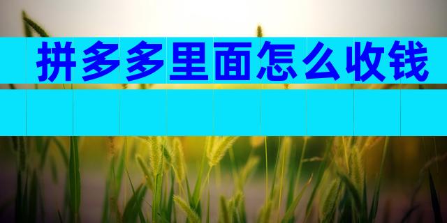 拼多多里面怎么收钱