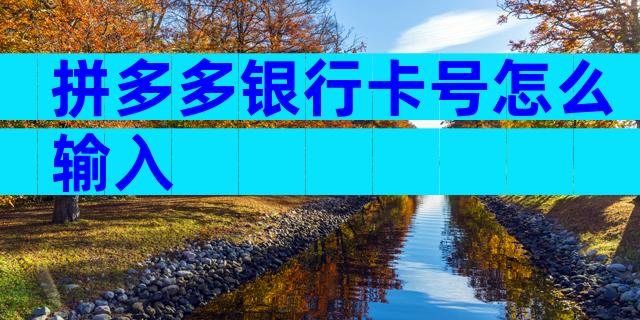 拼多多银行卡号怎么输入