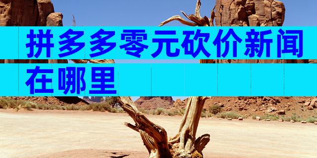 拼多多零元砍价新闻在哪里