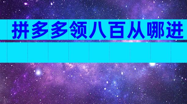 拼多多领八百从哪进