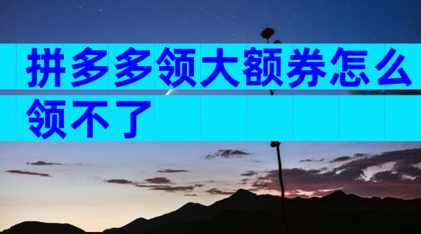 拼多多领大额券怎么领不了