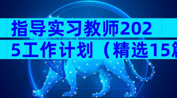 指导实习教师2025工作计划（精选15篇）