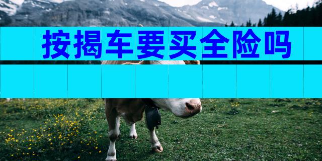 按揭车要买全险吗
