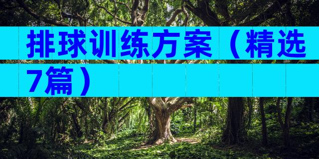排球训练方案（精选7篇）