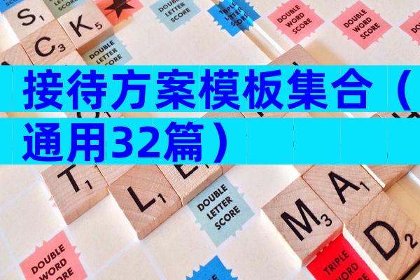 接待方案模板集合（通用32篇）