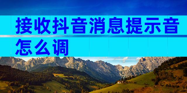 接收抖音消息提示音怎么调