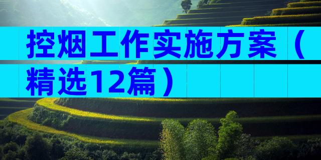 控烟工作实施方案（精选12篇）