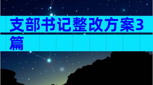 支部书记整改方案3篇