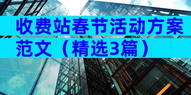 收费站春节活动方案范文（精选3篇）