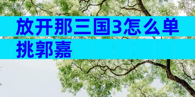 放开那三国3怎么单挑郭嘉