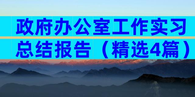 政府办公室工作实习总结报告（精选4篇）
