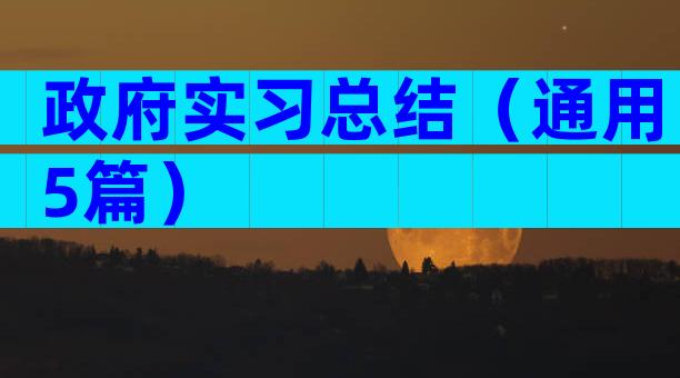 政府实习总结（通用5篇）
