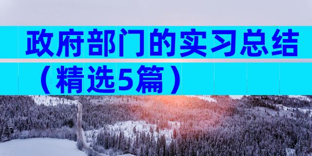 政府部门的实习总结（精选5篇）