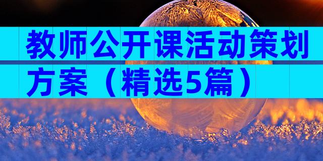 教师公开课活动策划方案（精选5篇）
