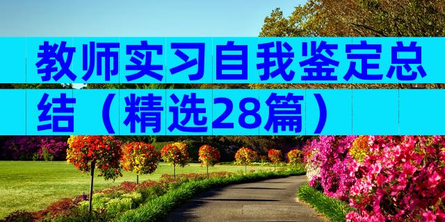 教师实习自我鉴定总结（精选28篇）
