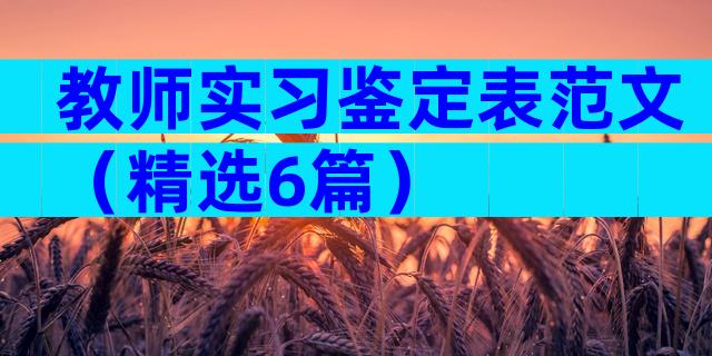 教师实习鉴定表范文（精选6篇）