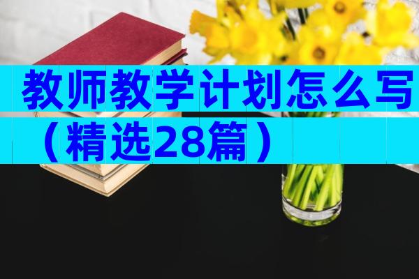 教师教学计划怎么写（精选28篇）