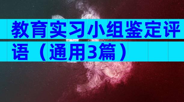 教育实习小组鉴定评语（通用3篇）