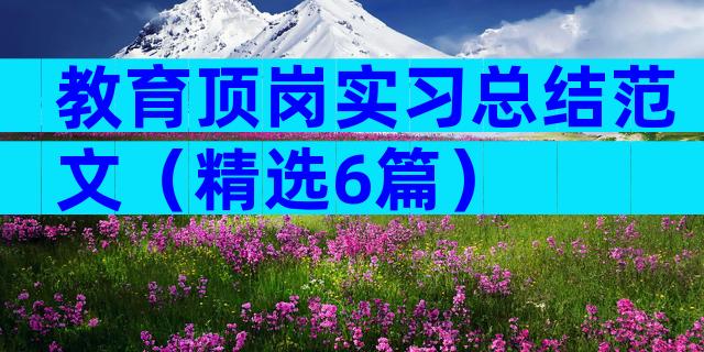 教育顶岗实习总结范文（精选6篇）