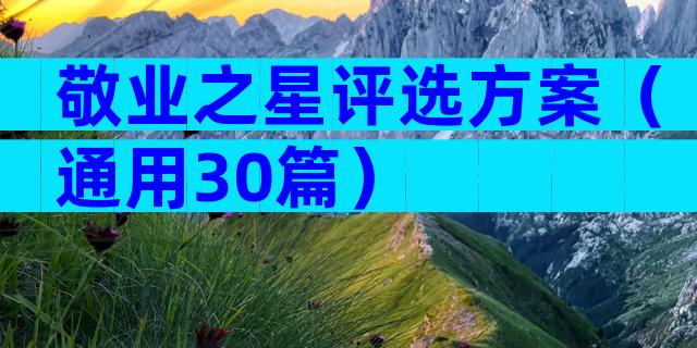 敬业之星评选方案（通用30篇）