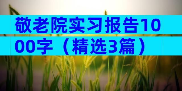 敬老院实习报告1000字（精选3篇）