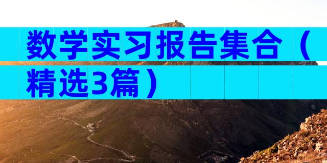 数学实习报告集合（精选3篇）