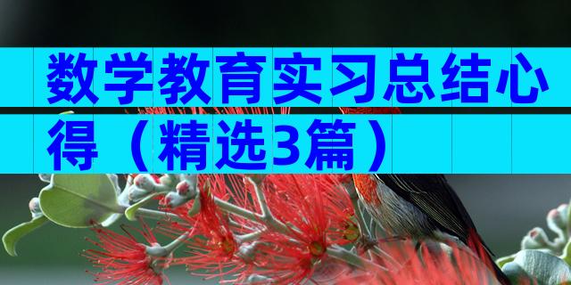 数学教育实习总结心得（精选3篇）