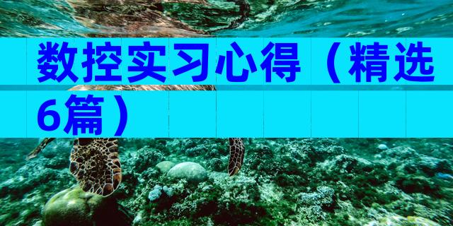 数控实习心得（精选6篇）