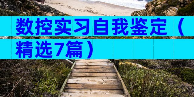 数控实习自我鉴定（精选7篇）