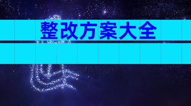整改方案大全